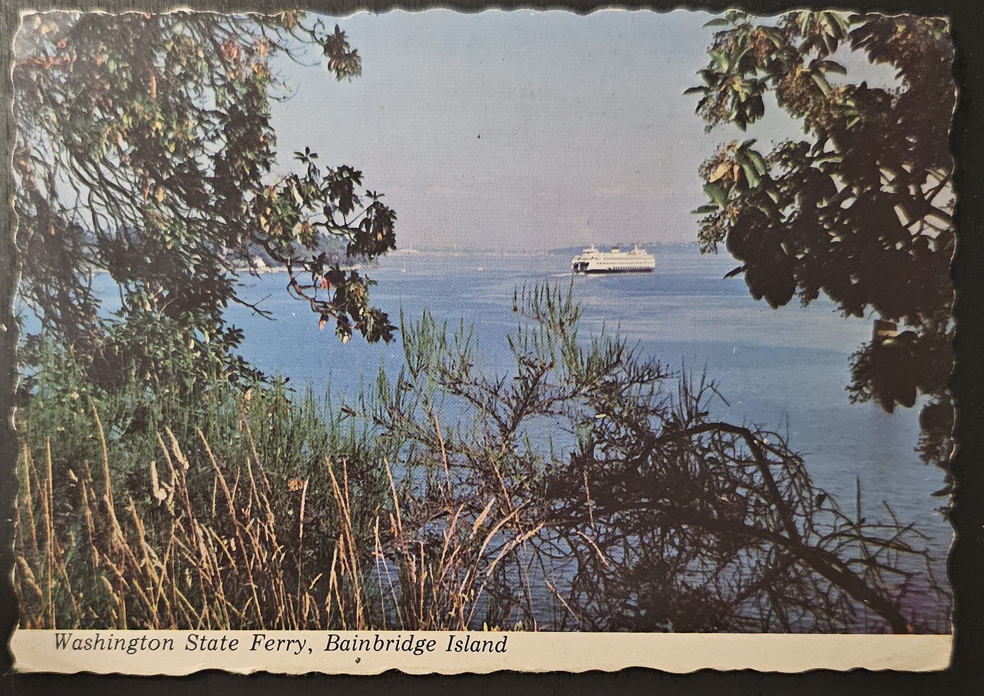 (image for) postcard USA - WA - Washington #0003